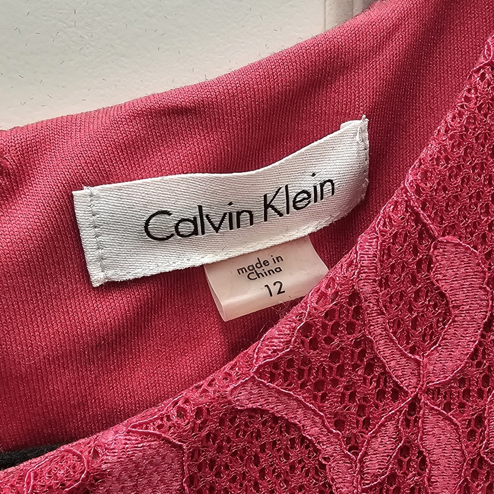 A-line Lace Overlay Dress - Picture 4 of 4